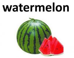 西瓜用英语怎么说 西瓜英文watermelon怎么读