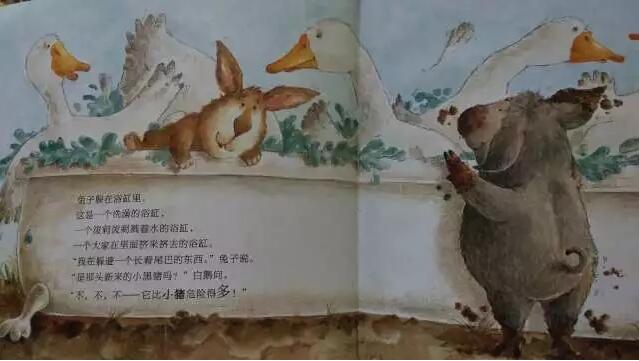 绘本故事《快跑，兔子快跑》