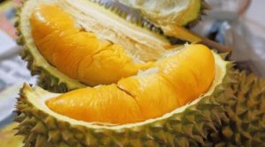 榴莲的英文 durian怎么读