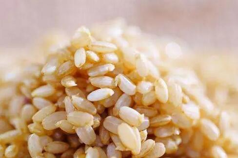 发芽的糙米：可食用