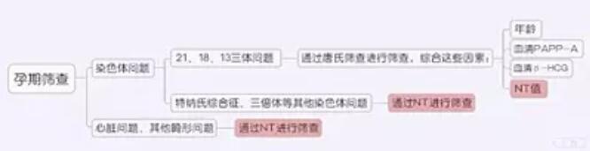 nt检查是什么意思