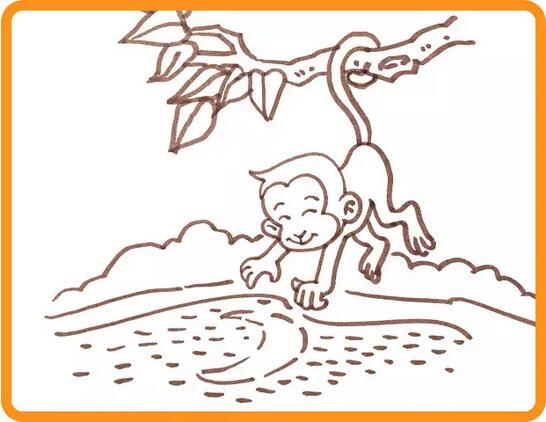 小猴子捞月亮的故事简笔画教程图片