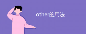 other的用法