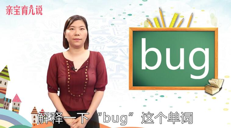 bug什么意思中文
