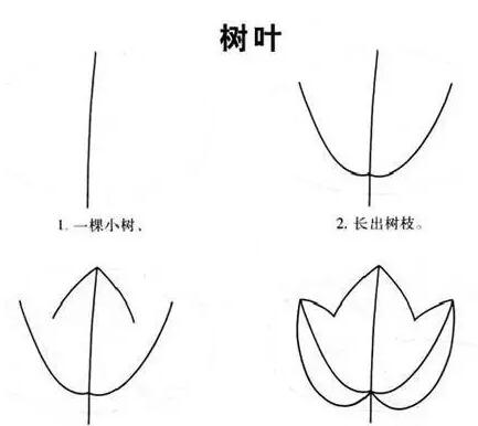 各种树叶简笔画图片大全