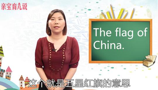 flag是什么意思中文