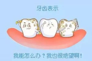 幼儿园大班科学教案：牙齿的功能
