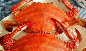 哺乳期可以吃梭子蟹吗