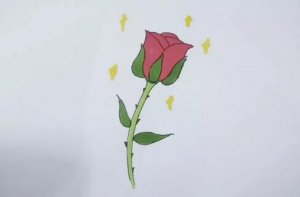 玫瑰花怎么画？简单玫瑰花简笔画教程图片