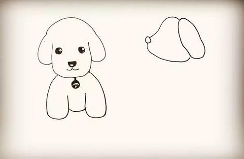 可爱的小狗简笔画教程图片