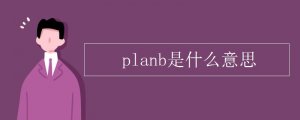 plan b是什么意思