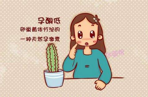 孕酮正常值是多少