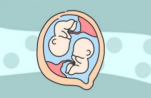 怀孕多久能查出来是不是双胞胎