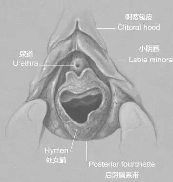 关于处女膜的5个问题，了解一下