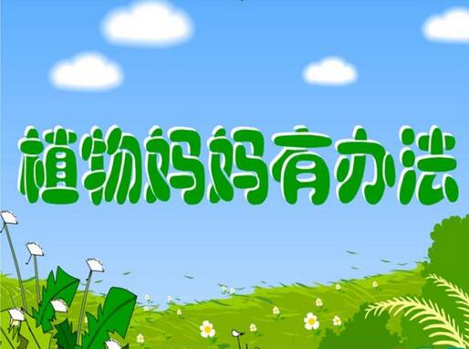 《植物妈妈有办法》课文教案教学设计