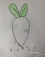儿童启蒙简笔画萝卜