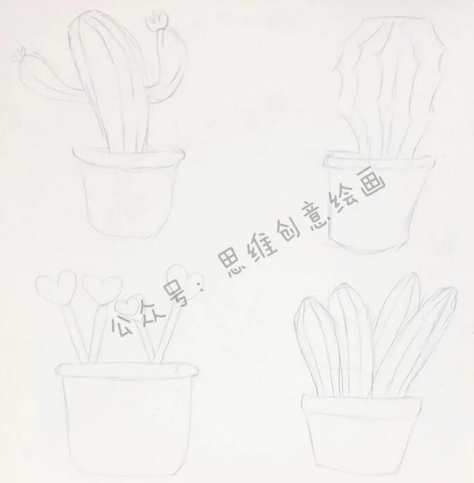 盆栽植物仙人掌简笔画怎么画