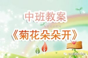 幼儿园中班《菊花朵朵开》教案反思