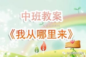 幼儿园中班《我从哪里来》教案反思