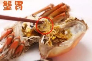 螃蟹六不吃有哪些？吃螃蟹禁忌