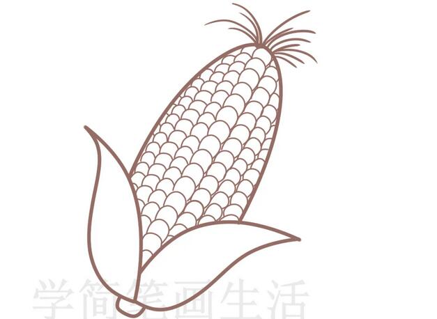 可爱的玉米简笔画教程图片