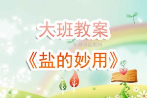 幼儿园大班教案《盐的妙用》含反思