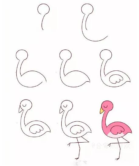 各种各样可爱的小鸟简笔画图片