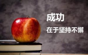 我成功了作文400字7篇