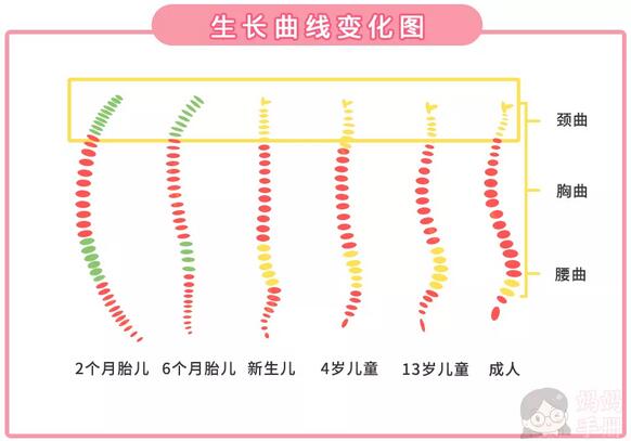 婴儿什么时候用枕头