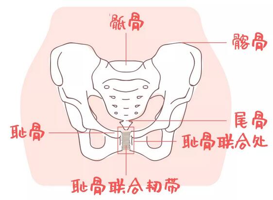 很多妈妈产后都会做骨盆修复，不仅坑钱还有害！