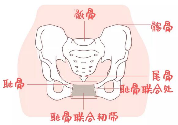 很多妈妈产后都会做骨盆修复，不仅坑钱还有害！