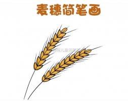 珍惜粮食，超简单的小麦穗简笔画教程图片
