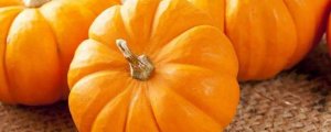 南瓜的英文 pumpkin怎么读