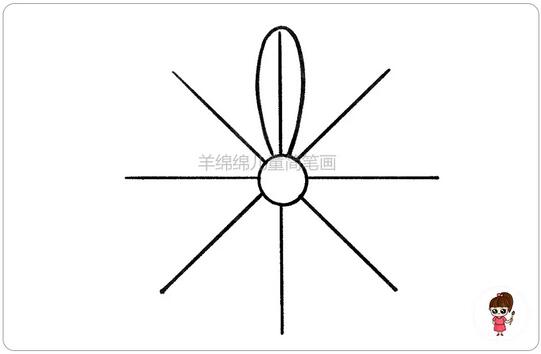 重阳节，学习画菊花简笔画