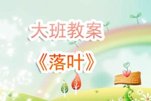 幼儿园大班教案《落叶》