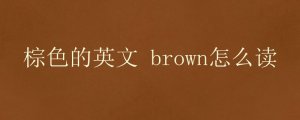 棕色的英文 brown怎么读