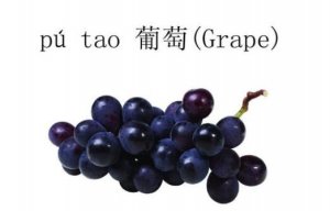 葡萄的英语单词 grape怎么读