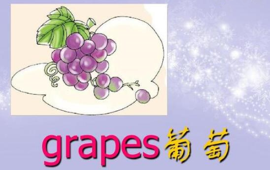 葡萄的英语单词 grape怎么读