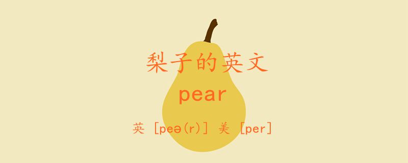 梨子的英文 pear怎么读音标