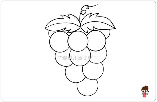 水果可爱的葡萄简笔画教程图片