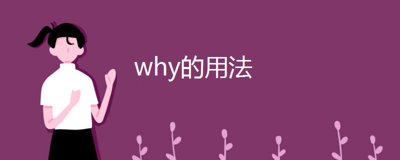 why的用法