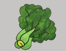 蔬菜青菜简笔画怎么画图片