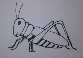 蝗虫简笔画的画法图片