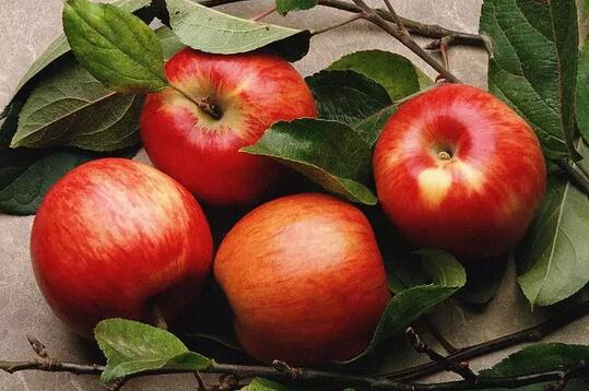 最适合孕妇吃的6种水果 苹果