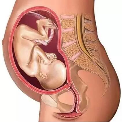 胎儿什么时候入盆？六个症状准备迎接宝宝