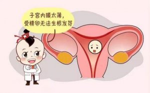 子宫内膜薄怎么办？