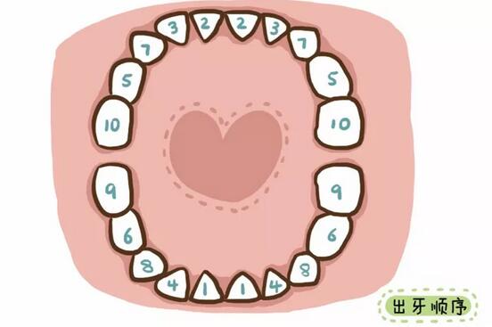 婴儿出牙晚的原因有哪些