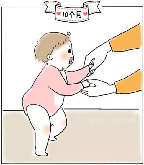 1-12个月婴儿生长发育规律