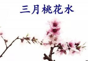 三月桃花水课文原文
