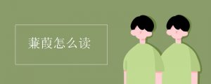 蒹葭怎么读拼音